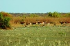 DSC_1883.jpg